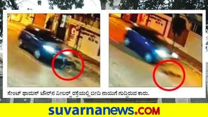 Bengaluru: ಲಾರಾ ಪ್ರಕರಣ ಹಚ್ಚಹಸಿರಾಗಿರುವಾಗಲೇ  ಕಾರು ಹತ್ತಿಸಿ ನಾಯಿ ಸಾಯಿಸಲು ಯತ್ನಿಸಿದ ಮತ್ತೊಂದು ಘಟನೆ!