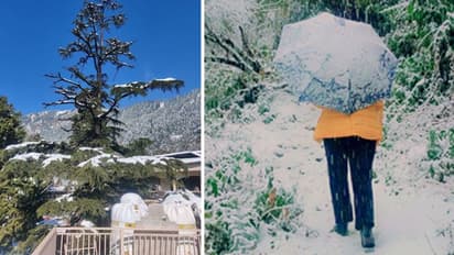 Weather Report: हिमालय के पास एक नया वेस्टर्न डिस्टर्बेंस सक्रिय; उत्तरभारत से लेकर दिल्ली तक फिर से सर्दी