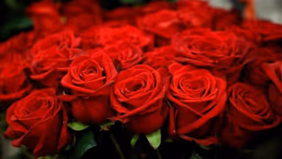 রোজ ডে উপলক্ষে জেনে নিন গোলাপ দিয়ে তৈরি বিশেষ ৭ রেসিপি