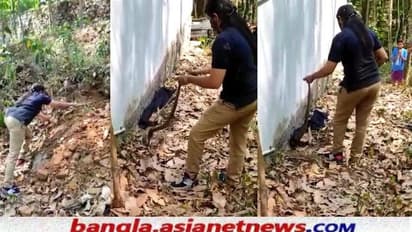 কোবরা ধরলেন কেরলের বনবিভাগের মহিলা আধিকারিক, ভিডিও ভাইরাল, প্রশংসার বন্যা সোশ্যাল মিডিয়ায়