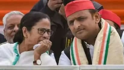 উত্তরপ্রদেশ বিধানসভা নির্বাচনে সপার সমর্থনে হাজির মমতা, প্রচার শুরু আজ থেকেই