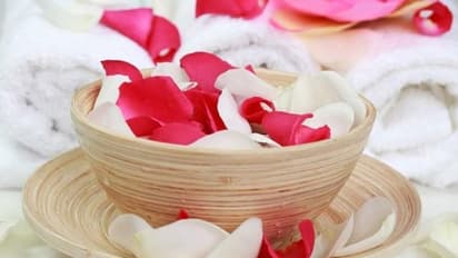 Rose Day: प्रेमी के दिए रोज को ऐसे ना करें वेस्ट, अगले दिन उससे बनाएं 7 ब्यूटी पैक और पाएं गुलाब सी त्वचा