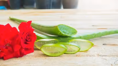 গরমে পিঠের ব্রণ চিন্তার কারণ হয়ে দাঁড়িয়েছে, ঘরোয়া উপায় দূর করুন এই সমস্যা