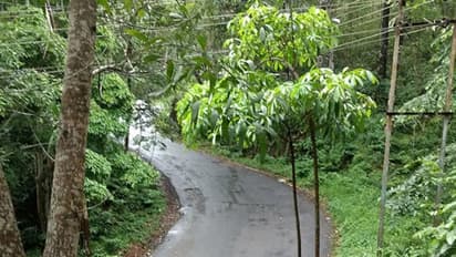 സുമതിയെ കൊന്നവളവിൽ വീണ്ടും അസ്ഥികൂടം, മരിച്ചിട്ട് 3 മാസമായെന്ന് സംശയം, തിരിച്ചറിയാൻ ഡിഎൻഎ പരിശോധന