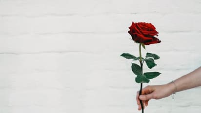 Vastu Tips: ಸಂತೋಷ ಹಾಳು ಮಾಡುವ ಈ ಐದು ಸಸ್ಯಗಳನ್ನು ಮನೆಯಲ್ಲಿ ಬೆಳೆಸ್ಬೇಡಿ!