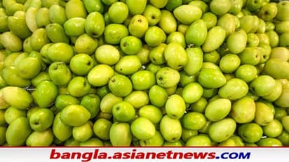 পেটের সমস্যা দূর করতে কিংবা ক্যালশিয়াম ঘাটতি পূরণে কুল খান, রইল এই ফলের গুণাগুণ