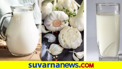 Garlic Milk Benefits: ಮಲಬದ್ಧತೆ ಸಮಸ್ಯೆನಾ ? ಬೆಳ್ಳುಳ್ಳಿ ಹಾಲು ಕುಡ್ದು ನೋಡಿ
