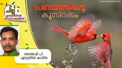 Malayalam Poem : പ്രണയത്തിന്റെ കുന്നിറക്കം, അജേഷ് പി എഴുതിയ കവിത
