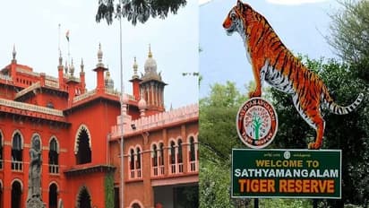 சத்தியமங்கலம் புலிகள் சரணாலயம் வழியாக செல்ல நேர கட்டுப்பாடு… வனத்துறைக்கு உயர்நீதிமன்றம் உத்தரவு!!