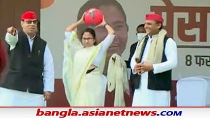 উত্তরপ্রদেশেও 'খেলা হবে', বল হাতেই বিজেপিকে চাঁচাছোলা ভাষায় আক্রমণ মমতার