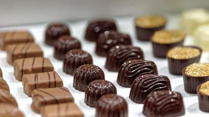 প্রিয়জনকে এইভাবে Chocolate Day Wish করুন, সম্পর্কে মধুরতা আরও বাড়বে