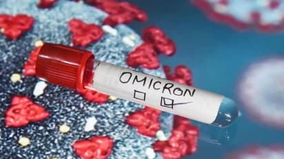 Omicron Infection : ഒമിക്രോണിന് പുതിയ ഉപവകഭേദം; ആശങ്കയ്ക്ക് വകുപ്പുണ്ടോ?