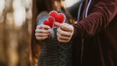 Sex week : പ്രണയദിനത്തിന് മുമ്പ് സെക്സ്‍ വീക്ക്, രതിയും സുരക്ഷയും ആനന്ദങ്ങളും ചര്‍ച്ച ചെയ്‍ത് അമേരിക്ക