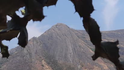 പാലക്കാട് ചെറാട് മലയിൽ വീണ്ടും ആളുകൾ; മലയുടെ മുകൾ ഭാഗത്ത് നിന്നും ഫ്ലാഷ് ലൈറ്റുകൾ തെളിയുന്നു