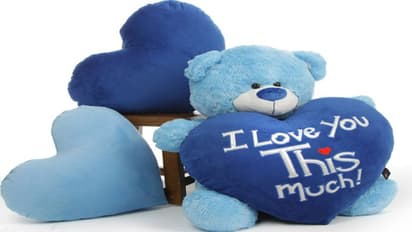 Teddy Day : ಮುದ್ದು ಮುದ್ದಾದ ಟೆಡ್ಡಿ ಗಿಫ್ಟ್ ಮಾಡುವ ಮೊದಲು ಅರ್ಥ ತಿಳಿದುಕೊಳ್ಳಿ