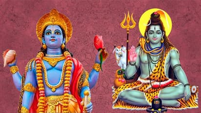 13 से 14 फरवरी तक लगातार रहेंगे व्रत-त्योहार, इनमें 2 दिन विष्णु और 1 दिन शिवजी की पूजा करना रहेगा शुभ