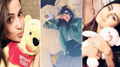 Happy Teddy Day 2022: Ananya Panday to Shraddha Arya; 5 celebs who love soft toys