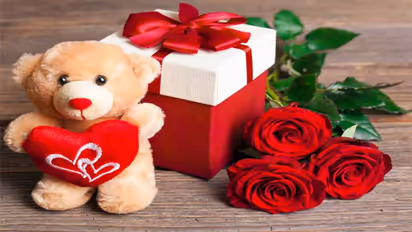 Happy Teddy Day: இன்று டெட்டி தினம்! உங்கள் மனம் கவர்ந்தவருக்கு எந்த மாதிரியான பொம்மை வாங்கி கொடுக்க போறீங்க.!