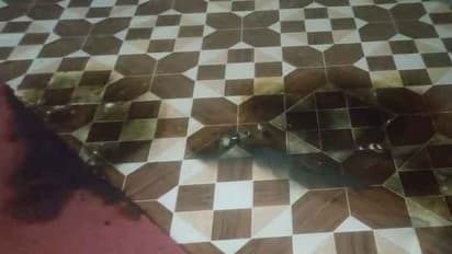 TN BJP : பாஜக அலுவலகத்தில் பெட்ரோல் குண்டு வீசியது ஏன் தெரியுமா? கைதானவர் கூறும் அதிர்ச்சி தகவல்..!