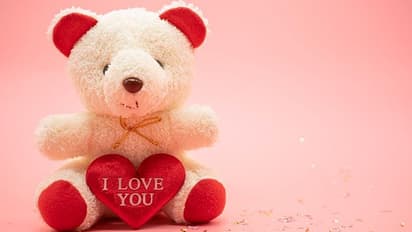 Happy Teddy Day 2022: WhatsApp status, quotes , messages and wishes