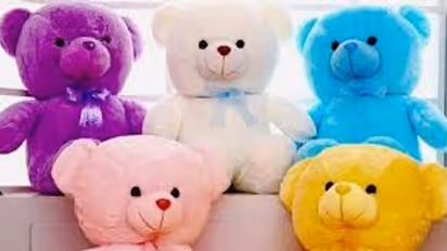 প্রতিটি রঙের Teddy bear-এর আলাদা অর্থ রয়েছে, উপহার দেওয়ার আগে এই জিনিসগুলি জেনে নিন