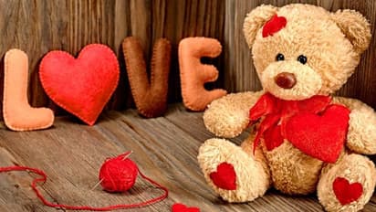 Teddy Day; ഇന്ന് 'ടെഡി ഡേ'; ടെഡിബെയര്‍  നല്‍കാം, പ്രണയം കൈമാറാം...