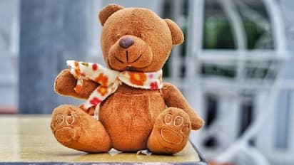 রইল টেডি ডে-র ১০টি সেরা শুভেচ্ছা বার্তা, দেখে নিন এক নজরে