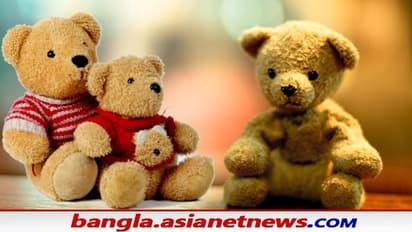 Teddy Day, উপহার দেওয়ার আগে জেনে নিন বিশ্বের সবচেয়ে ৫ দামী টেডি সম্পর্কে