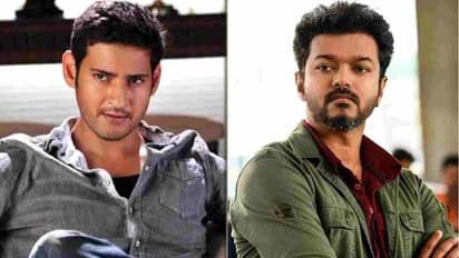 இதுக்கெல்லாம் அஞ்சுற ஆளாடா தளபதி.? மகேஷ்பாபுவை தெறிக்க விடும் விஜய்..!