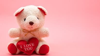 প্রেম সপ্তাহের আজ চতুর্থ দিন, এই ১০ উপায় একেবারে অন্যভাবে পালন করুন টেডি ডে