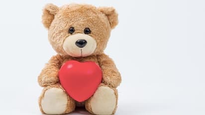 Teddy Day 2025: Check out the 5 most EXPENSIVE teddy bears in the World