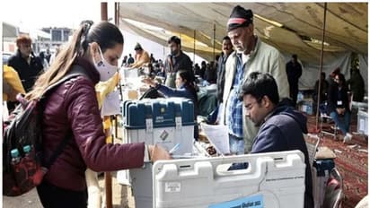 Election Result Update: সবুজ ঝড়ে দুই ২৪ পরগণা, ৩১ পুরসভাতেই ঘাস ফুল