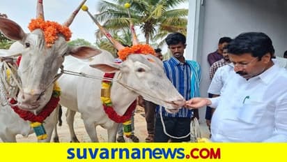 Turuvekere: 26 ಲಕ್ಷ ನೀಡಿ ಹಳ್ಳಿಕಾರ್‌ ಹೋರಿ ಖರೀದಿಸಿದ ಶಾಸಕ ಜಯರಾಮ್‌!