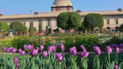 16 मार्च तक देखा जा सकेगा राष्ट्रपति भवन का मुगल गार्डन; ऑनलाइन बुकिंग से मिलेगी एंट्री