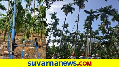 ಅಡಕೆ ಕೊಯ್ಲು, ಔಷಧಿ ಸಿಂಪಡಣೆಗೆ ‘ಪಿಂಗಾರ’ದ ತಂಡ, ರಾಜ್ಯದಲ್ಲೇ ಪ್ರಥಮ