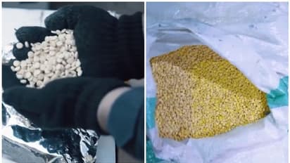 Drug Smuggling: കടൽവഴിയെത്തിയ വൻ മയക്കുമരുന്ന് ശേഖരം സൗദി കസ്റ്റംസ് പിടിച്ചെടുത്തു