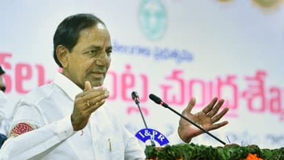 ಉಕ್ರೇನ್ ನಿಂದ ಮರಳಿದ ವೈದ್ಯ ವಿದ್ಯಾರ್ಥಿಗಳಿಗೆ ಸರ್ಕಾರದ ವೆಚ್ಚದಲ್ಲೇ ವಿದ್ಯಾಭ್ಯಾಸ!