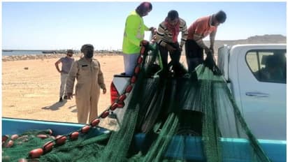 Illegal Fishing: അനധികൃത മത്സ്യബന്ധനം; 14 പ്രവാസികള് പിടിയില്