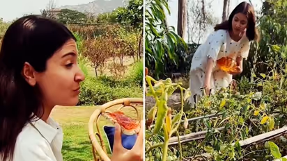 Want to learn how to make a tomato jam? Here’s Anushka Sharma teaching you to make one; watch