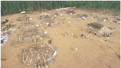 Cannabis destroyed : 850 കോടി വില വരുന്ന കഞ്ചാവ് തീയിട്ട് നശിപ്പിച്ച് ആന്ധ്ര പൊലീസ്, വീഡിയോ