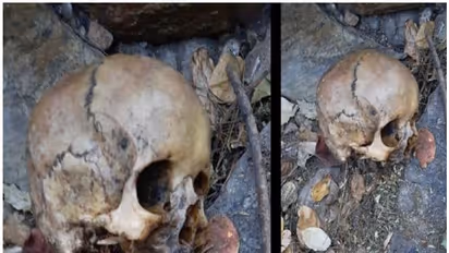 റോഡ് അരികില് കവറിൽ പൊതിഞ്ഞ നിലയിലുള്ള രണ്ട് തലയോട്ടികൾ കണ്ടെത്തി