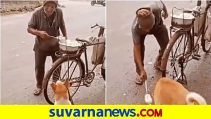 ಬೀದಿನಾಯಿಗೆ ಅನ್ನ ಹಾಕಿದ ವೃದ್ಧ... ಭಾವುಕ ವಿಡಿಯೋ ವೈರಲ್