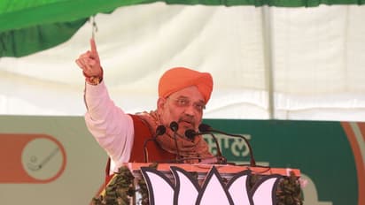 Punjab Election 2022: How will you protect Punjab, if PM didn't get safe passage: Amit Shah's jab at Channi