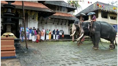തൃശ്ശൂരില് ഉത്സവങ്ങളില് 15 ആനകളെ എഴുന്നള്ളിക്കാന് അനുമതി