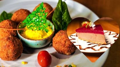 ভালোবাসার সপ্তাহ জুড়ে পেটপুজো, স্পেশ্যাল কোন মেনু সাজিয়ে রেখেছে দ্য ইয়লো টার্টেল