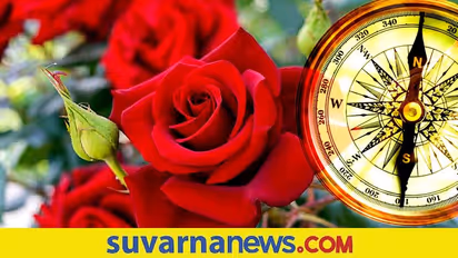 Astrology Tips : ಮನೆಯ ಅಂದ ಹೆಚ್ಚಿಸುವ ಗುಲಾಬಿಯಲ್ಲಿದೆ ಅದೃಷ್ಟ ಬದಲಿಸುವ ಶಕ್ತಿ