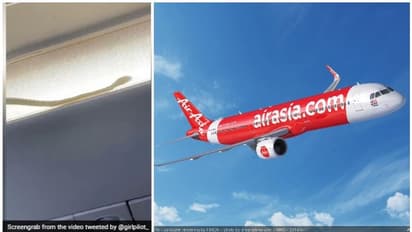 Air Asia Flight : എയര്‍ ഏഷ്യാ വിമാനത്തില്‍ പാമ്പ്; അലറിവിളിച്ച് യാത്രക്കാര്‍, വിമാനം താഴെയിറക്കി, വീഡിയോ