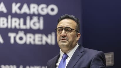 Ilker Ayci rejects Tata Sons offer to be CEO of Air India