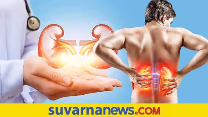 சிறுநீரக நோயாளிகள் இந்த உணவுகளை சாப்பிடவே கூடாதாம்.. இல்லைன்னா கிட்னிக்கு தான் ஆபத்தாம் உஷாரா இருங்க..