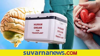 Organ Donation: ಮೆದುಳು ನಿಷ್ಕ್ರಿಯಗೊಂಡಾಗ ಯಾವ ಅಂಗ ದಾನ ಮಾಡಬಹುದು?